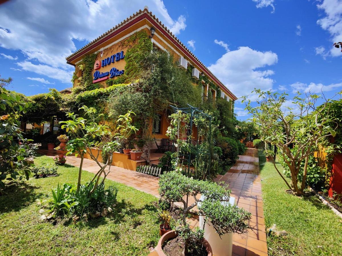 Hotel Donana Blues Маталасканьас Экстерьер фото