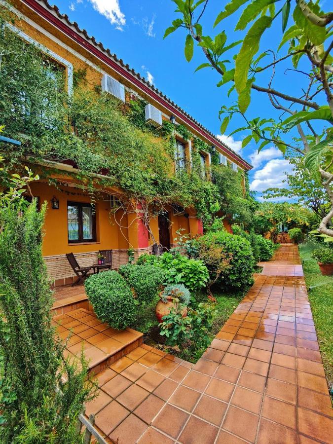 Hotel Donana Blues Маталасканьас Экстерьер фото