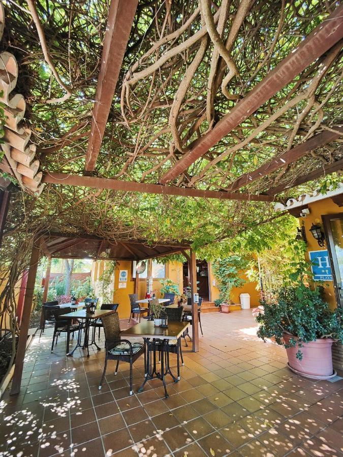 Hotel Donana Blues Маталасканьас Экстерьер фото